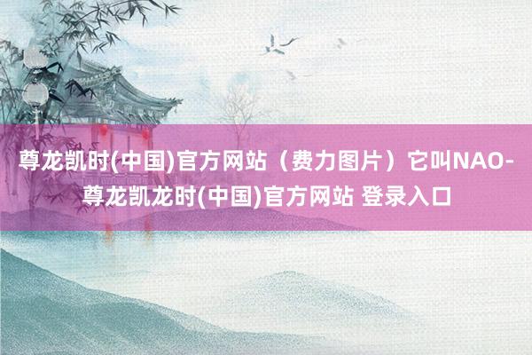 尊龙凯时(中国)官方网站（费力图片）它叫NAO-尊龙凯龙时(中国)官方网站 登录入口